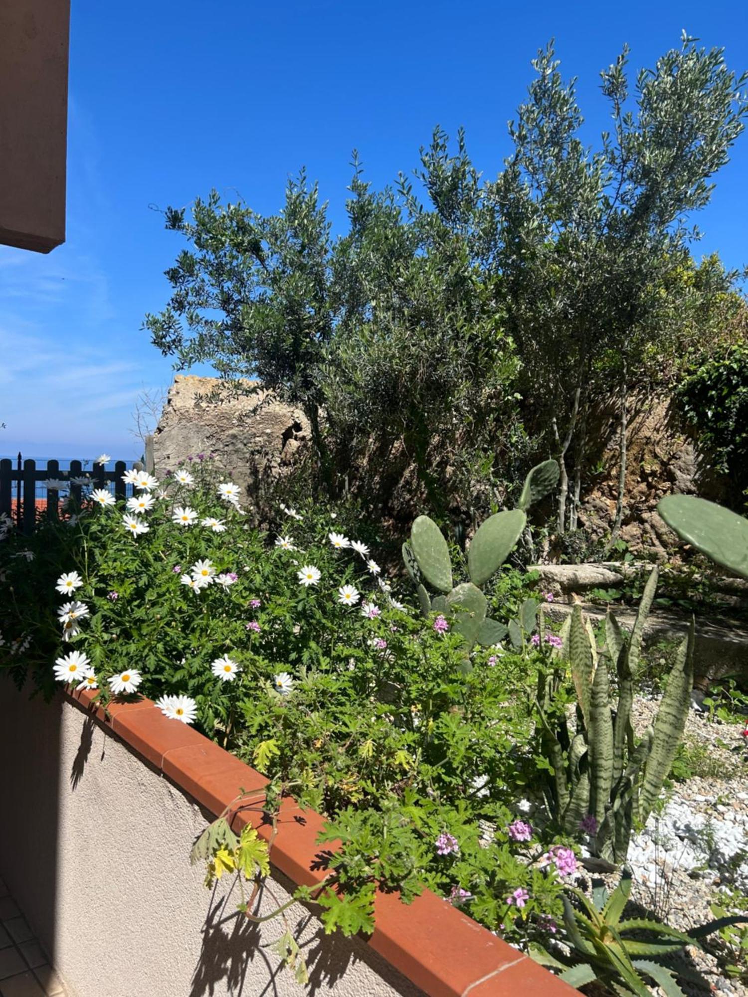 Bed and breakfast Arcobaleno Tropea Centro Extérieur photo